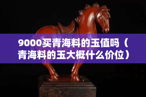 9000买青海料的玉值吗（青海料的玉大概什么价位）