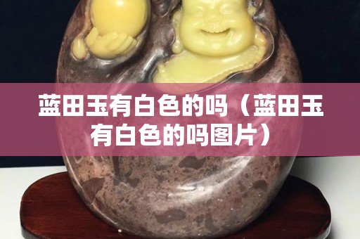 蓝田玉有白色的吗（蓝田玉有白色的吗图片）