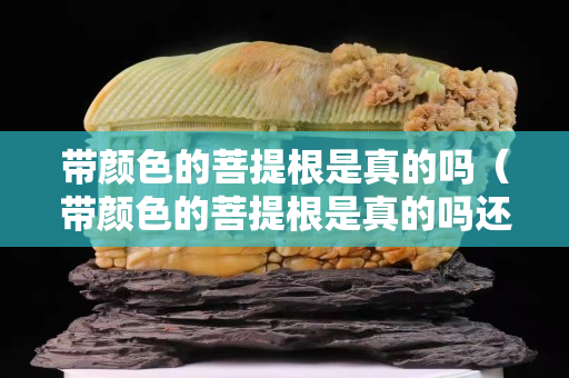 带颜色的菩提根是真的吗（带颜色的菩提根是真的吗还是假的）