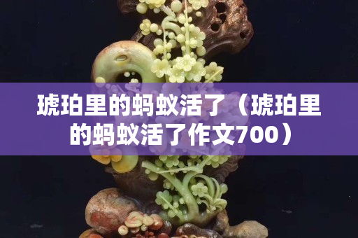 琥珀里的蚂蚁活了（琥珀里的蚂蚁活了作文700）