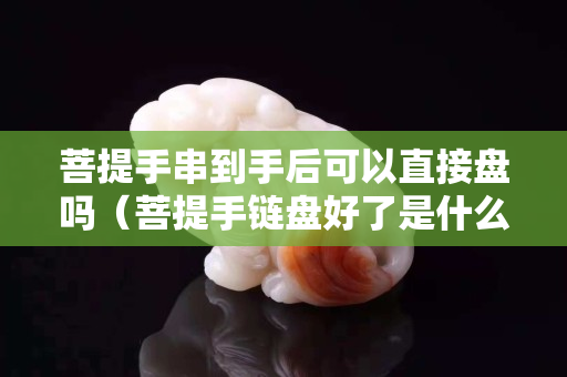 菩提手串到手后可以直接盘吗（菩提手链盘好了是什么样子的）