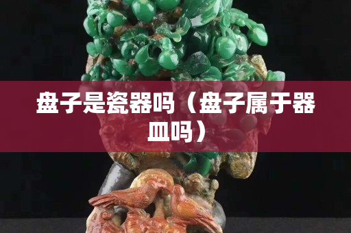 盘子是瓷器吗（盘子属于器皿吗）