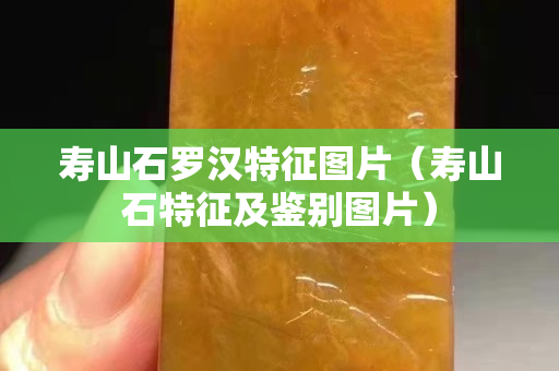 寿山石罗汉特征图片（寿山石特征及鉴别图片）