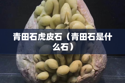 青田石虎皮石（青田石是什么石）