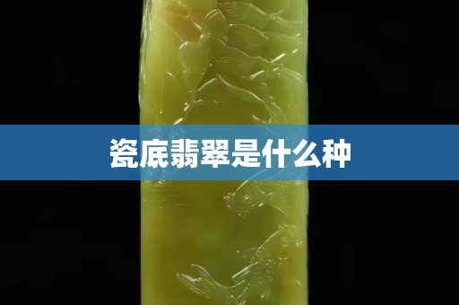 瓷底翡翠是什么种