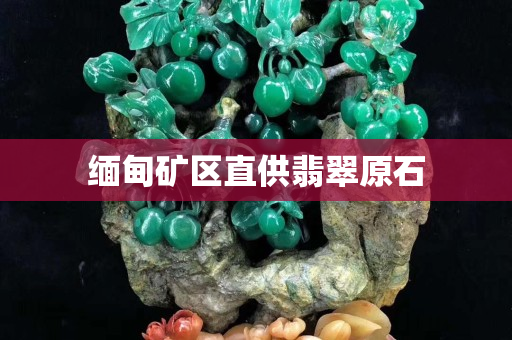 缅甸矿区直供翡翠原石