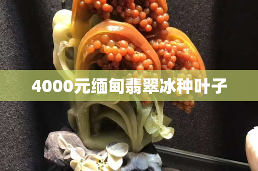 4000元缅甸翡翠冰种叶子