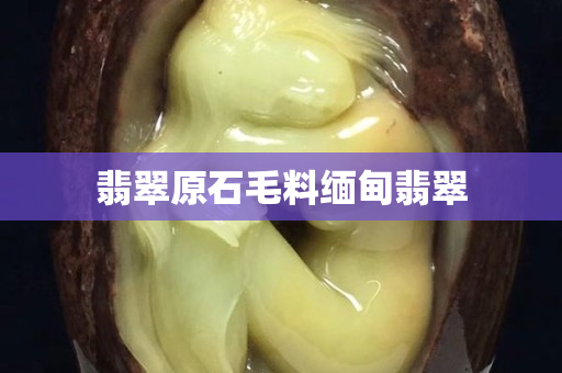 翡翠原石毛料缅甸翡翠