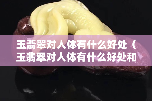 玉翡翠对人体有什么好处（玉翡翠对人体有什么好处和坏处）