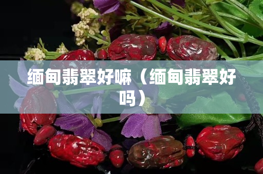 缅甸翡翠好嘛（缅甸翡翠好吗）