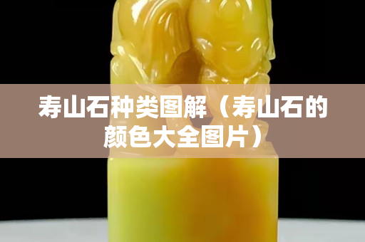 寿山石种类图解（寿山石的颜色大全图片）