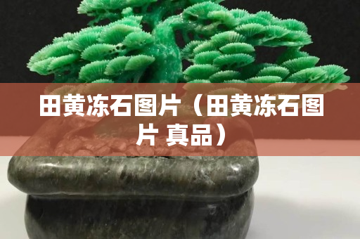 田黄冻石图片（田黄冻石图片 真品）