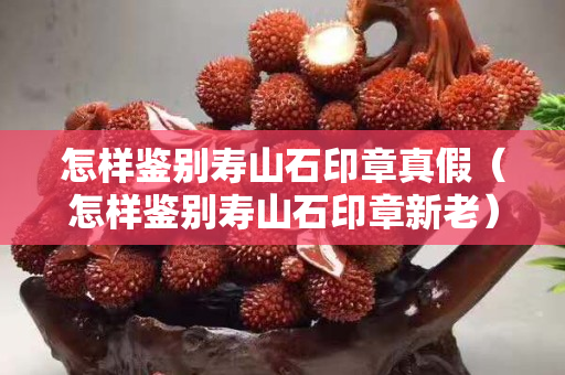 怎样鉴别寿山石印章真假（怎样鉴别寿山石印章新老）