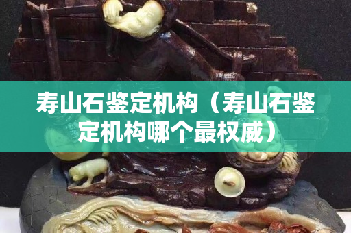 寿山石鉴定机构（寿山石鉴定机构哪个最权威）