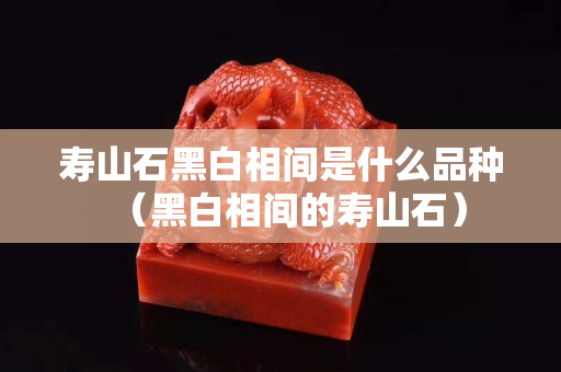 寿山石黑白相间是什么品种（黑白相间的寿山石）