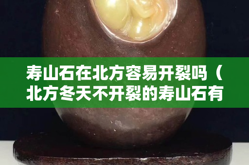 寿山石在北方容易开裂吗（北方冬天不开裂的寿山石有哪些）