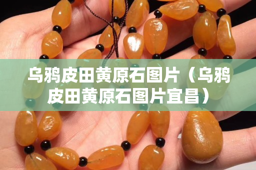 乌鸦皮田黄原石图片（乌鸦皮田黄原石图片宜昌）
