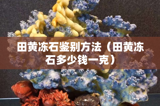 田黄冻石鉴别方法（田黄冻石多少钱一克）