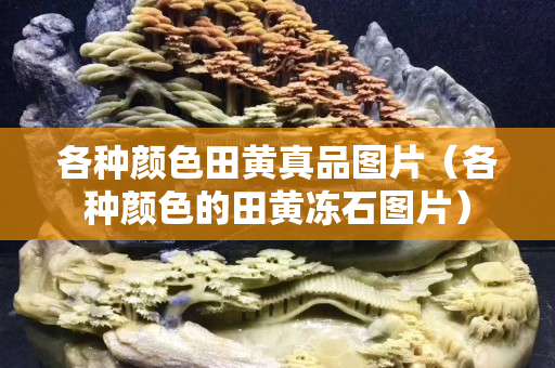 各种颜色田黄真品图片（各种颜色的田黄冻石图片）