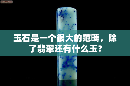 玉石是一个很大的范畴，除了翡翠还有什么玉？