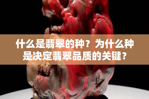 什么是翡翠的种？为什么种是决定翡翠品质的关键？