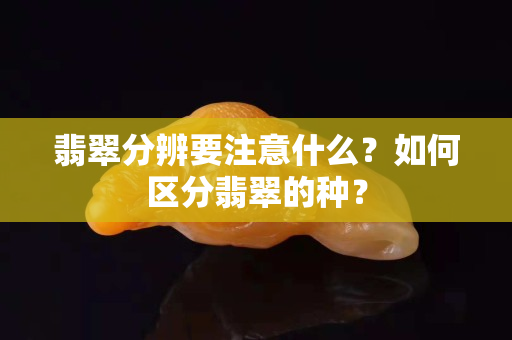 翡翠分辨要注意什么？如何区分翡翠的种？