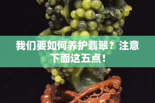 我们要如何养护翡翠？注意下面这五点！