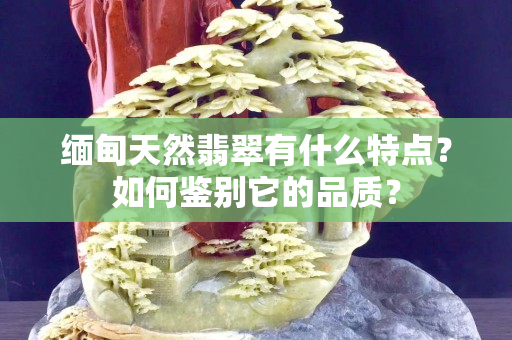 缅甸天然翡翠有什么特点？如何鉴别它的品质？