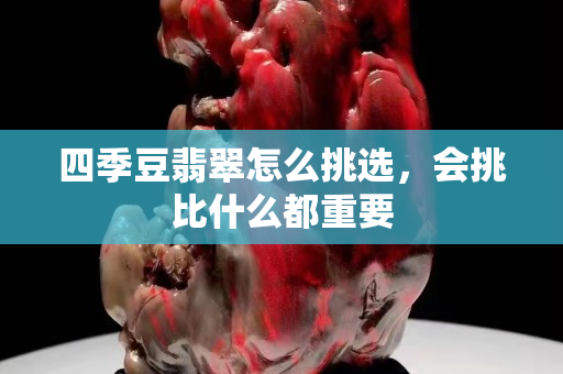 四季豆翡翠怎么挑选，会挑比什么都重要