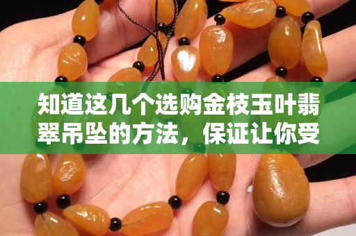 知道这几个选购金枝玉叶翡翠吊坠的方法，保证让你受益匪浅