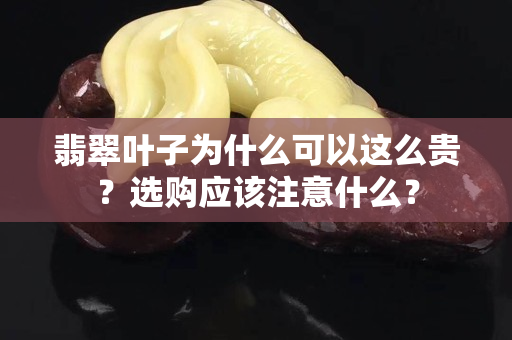 翡翠叶子为什么可以这么贵？选购应该注意什么？