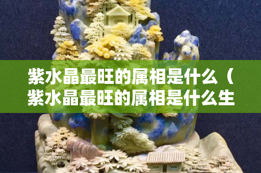 紫水晶最旺的属相是什么（紫水晶最旺的属相是什么生肖）