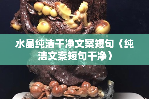 水晶纯洁干净文案短句（纯洁文案短句干净）
