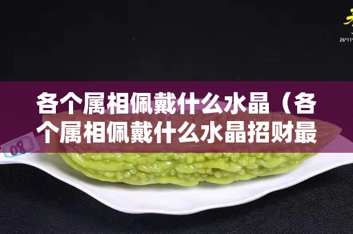 各个属相佩戴什么水晶（各个属相佩戴什么水晶招财最好）