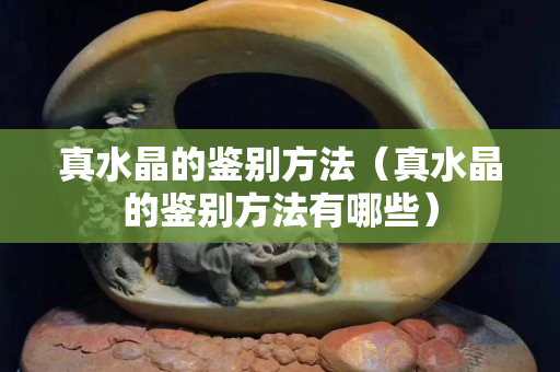 真水晶的鉴别方法（真水晶的鉴别方法有哪些）