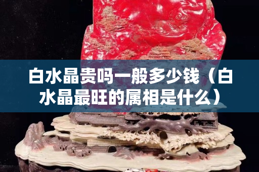 白水晶贵吗一般多少钱（白水晶最旺的属相是什么）