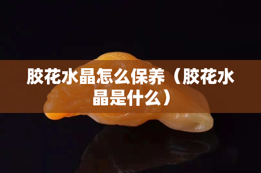 胶花水晶怎么保养（胶花水晶是什么）