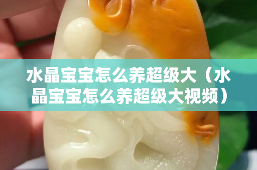 水晶宝宝怎么养超级大（水晶宝宝怎么养超级大视频）