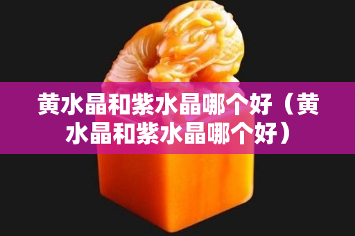 黄水晶和紫水晶哪个好（黄水晶和紫水晶哪个好）
