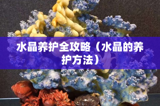 水晶养护全攻略（水晶的养护方法）
