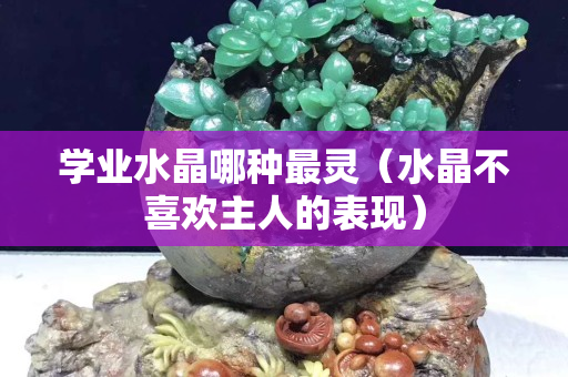 学业水晶哪种最灵（水晶不喜欢主人的表现）