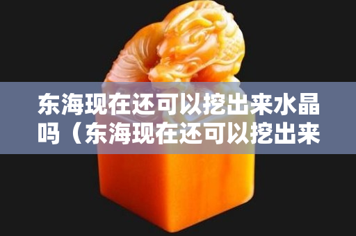 东海现在还可以挖出来水晶吗（东海现在还可以挖出来水晶吗）