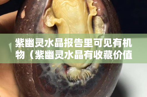 紫幽灵水晶报告里可见有机物（紫幽灵水晶有收藏价值吗）