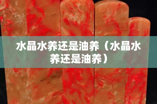 水晶水养还是油养（水晶水养还是油养）