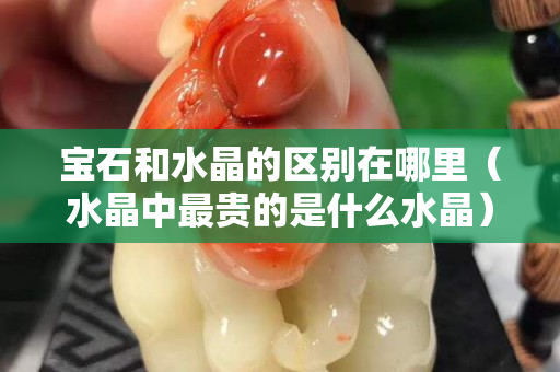 宝石和水晶的区别在哪里（水晶中最贵的是什么水晶）