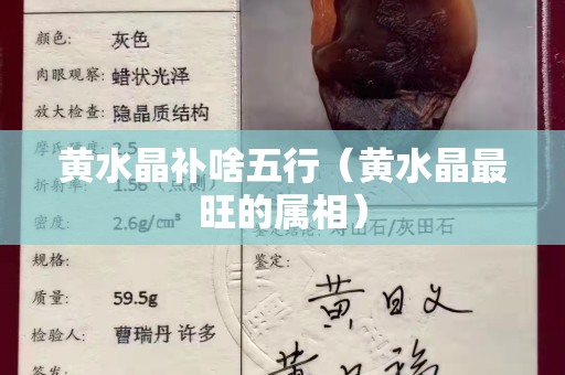 黄水晶补啥五行（黄水晶最旺的属相）