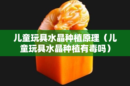 儿童玩具水晶种植原理（儿童玩具水晶种植有毒吗）