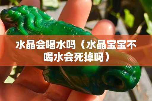 水晶会喝水吗（水晶宝宝不喝水会死掉吗）