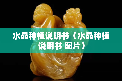水晶种植说明书（水晶种植说明书 图片）