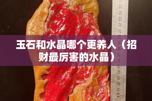 玉石和水晶哪个更养人（招财最厉害的水晶）